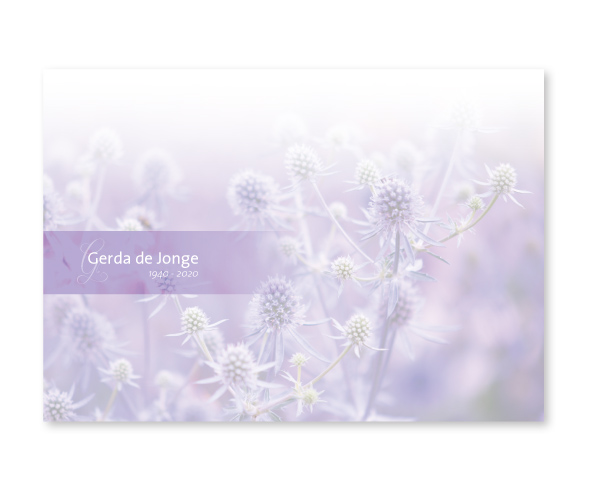Bloemen