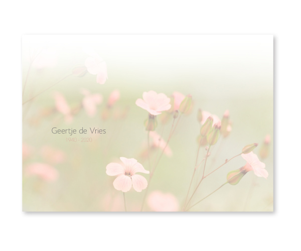 Bloemen