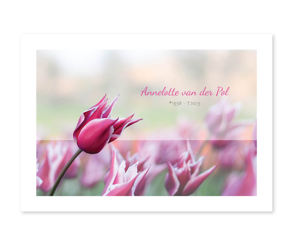 Bloemen