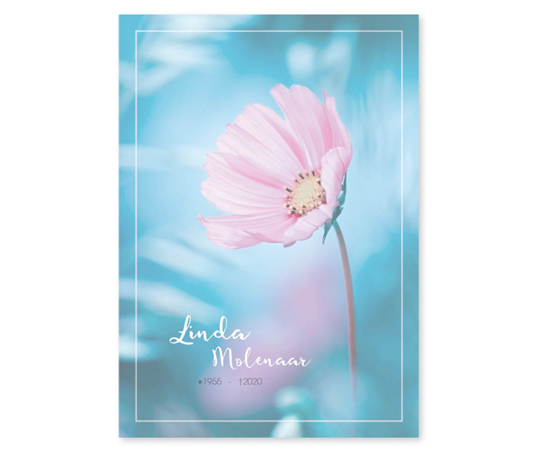 Bloemen