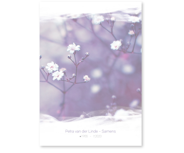 Bloemen