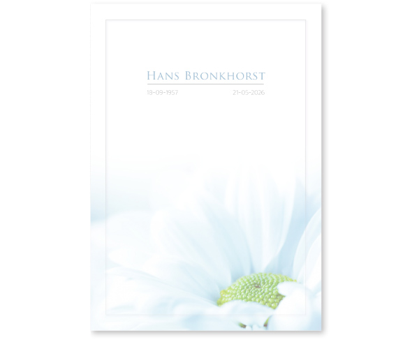 Bloemen