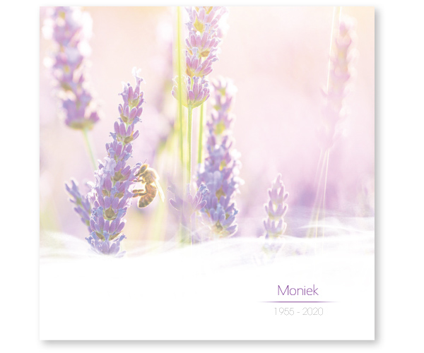 Bloemen
