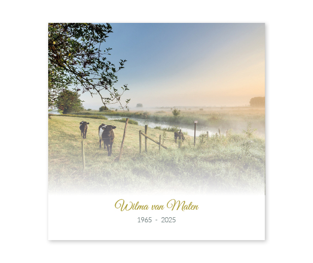 Landschappen